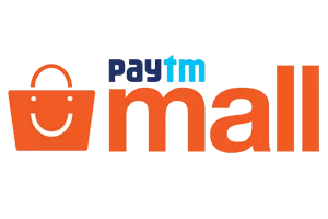 Paytm Icon
