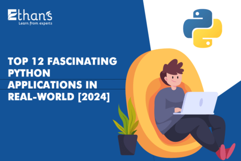 Python Applications in Real World