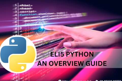 Understanding of Eli5 Python